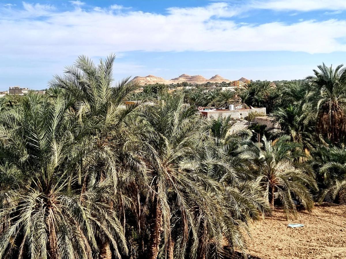 Quiet Home Siwa Oasis Exterior foto